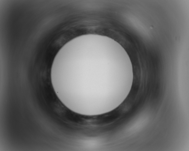 X0000088460430200706191332