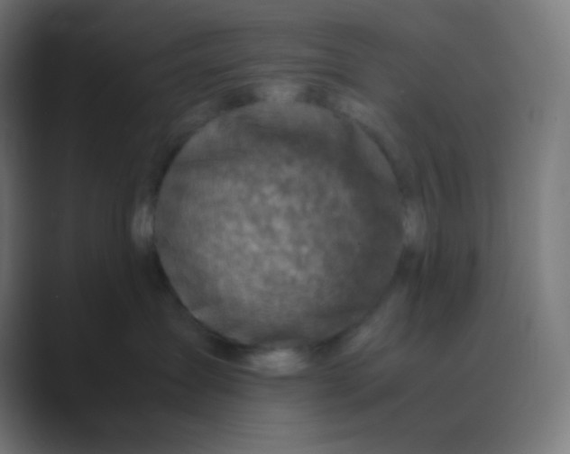X0000088460431200706191332