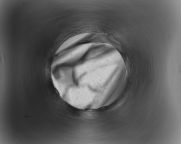 X0000088460432200706191332