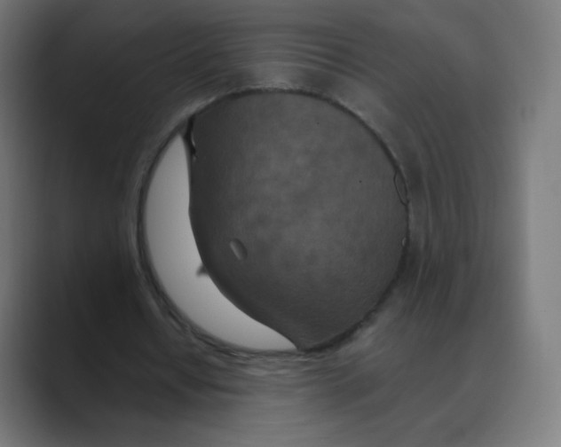 X0000088460434200706191332