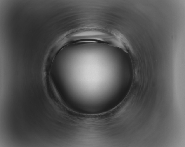 X0000088460436200706191332