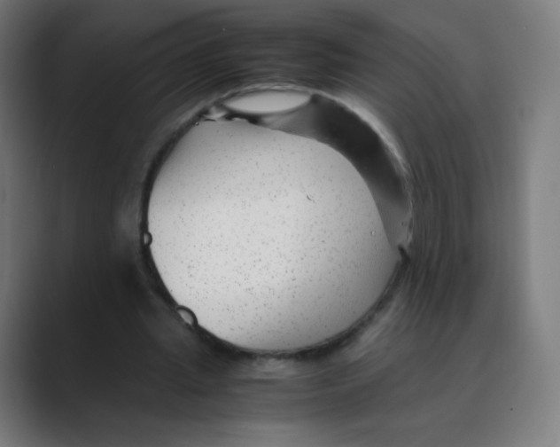 X0000088460437200706191332