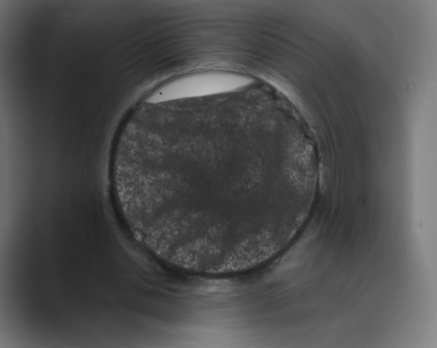 X0000088460438200706191332