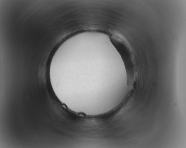 X0000088460439200706191332