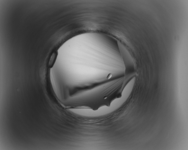 X0000088460440200706191332