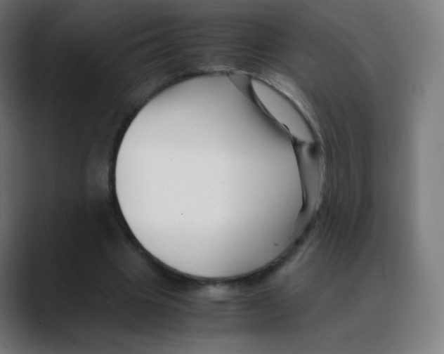 X0000088460441200706191332