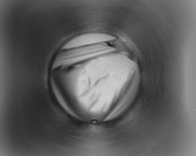 X0000088460442200706191332