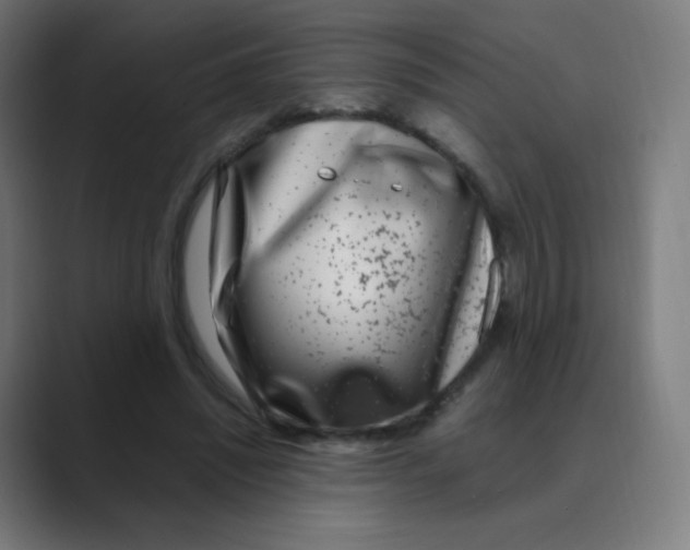 X0000088460444200706191332