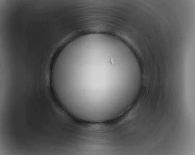 X0000088460446200706191332
