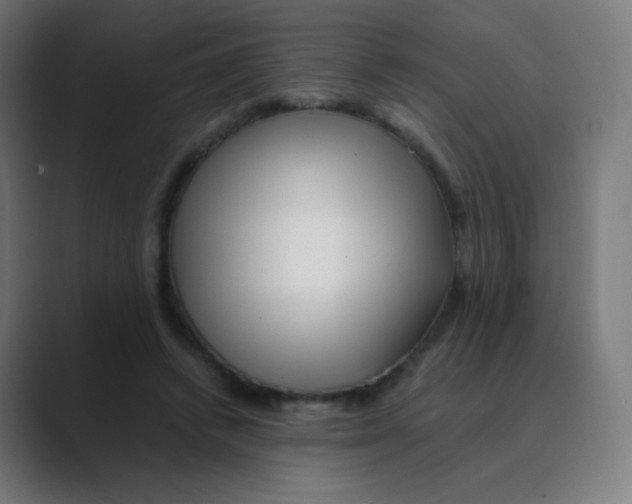 X0000088460448200706191332