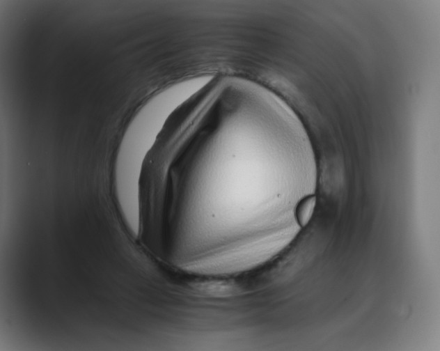 X0000088460449200706191332