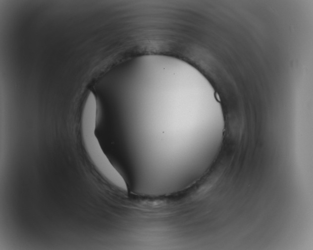 X0000088460450200706191332