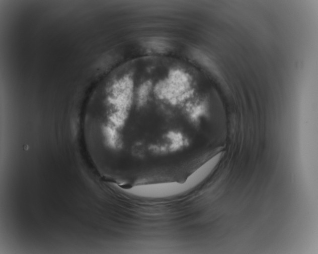 X0000088460451200706191332