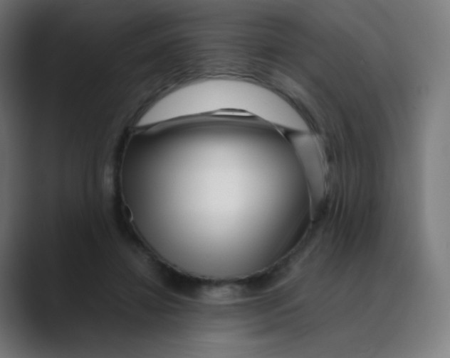 X0000088460452200706191332