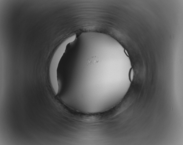X0000088460454200706191332