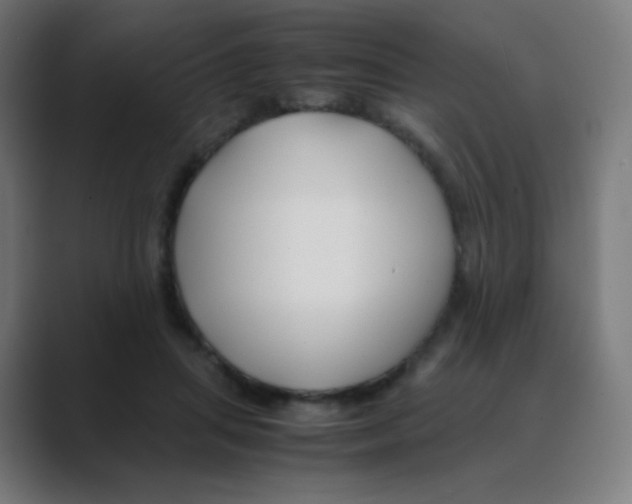X0000088460455200706191332