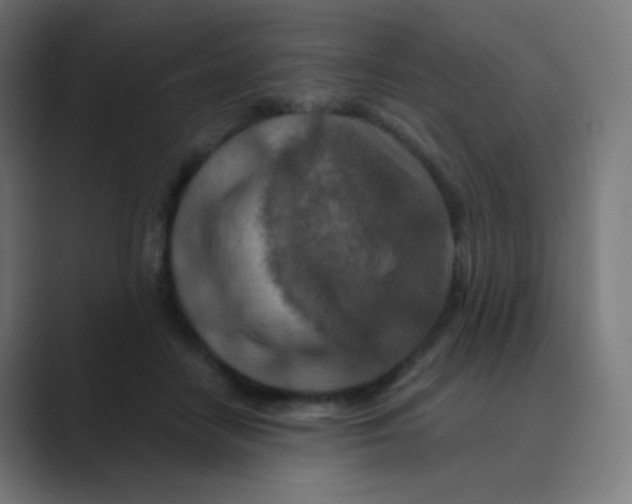 X0000088460458200706191332