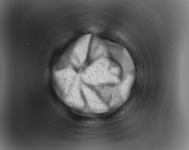 X0000088460459200706191332