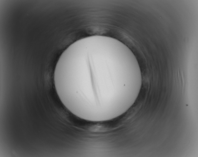 X0000088460460200706191332