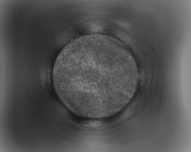 X0000088460462200706191332