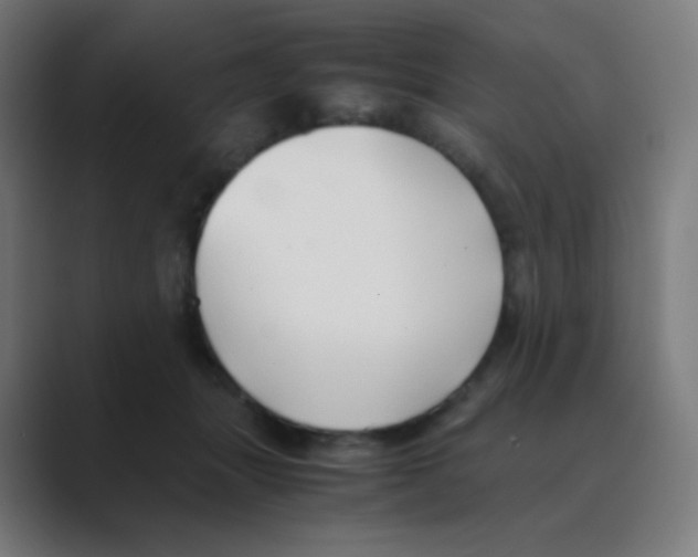 X0000088460463200706191332