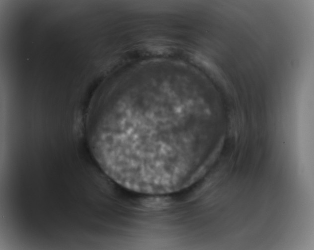 X0000088460465200706191332