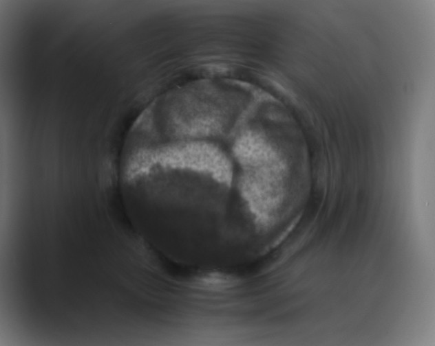 X0000088460467200706191332