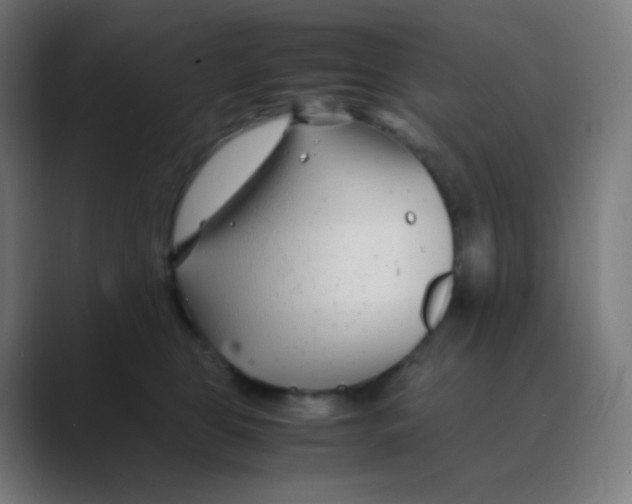 X0000088460469200706191332