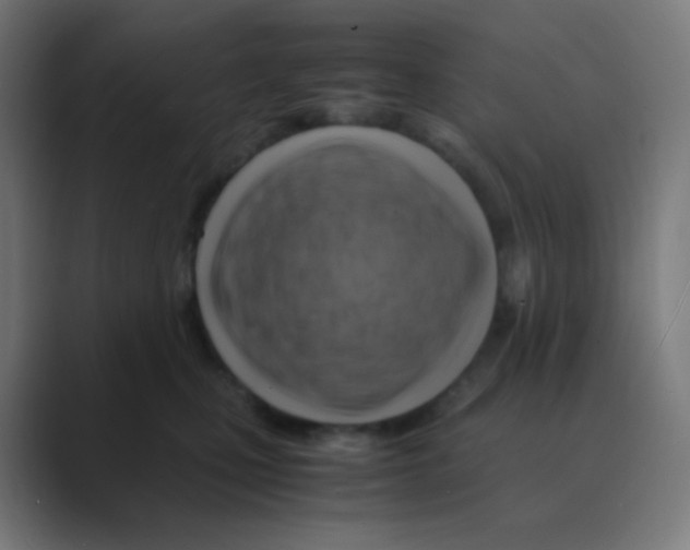X0000088460471200706191332