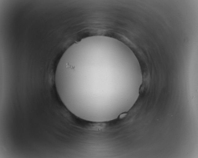 X0000088460474200706191332