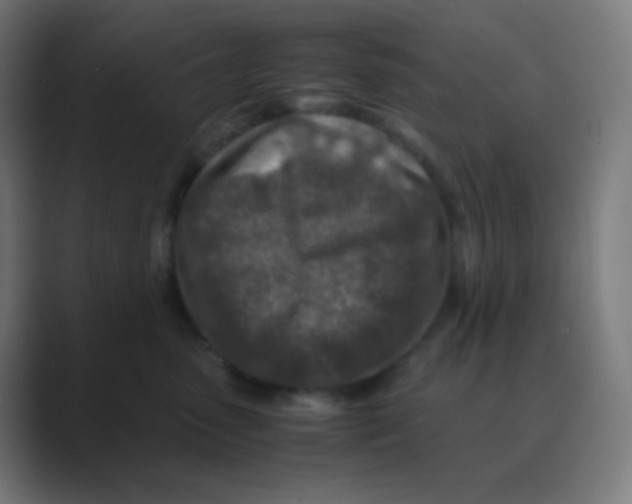 X0000088460475200706191332