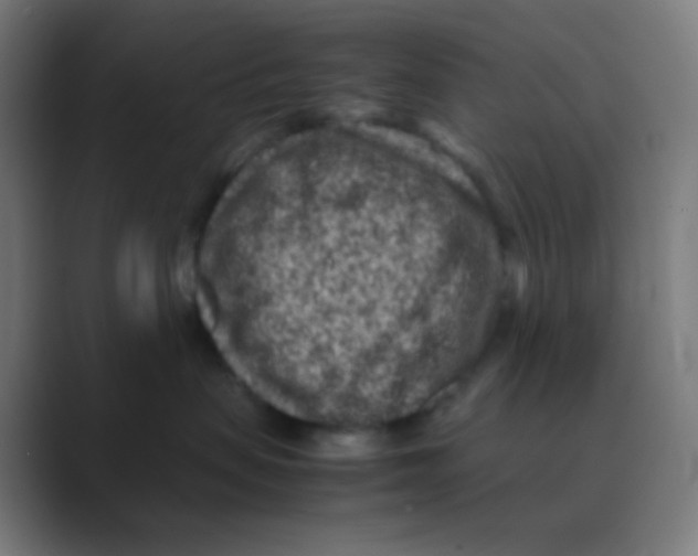 X0000088460479200706191332