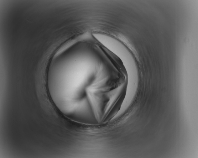 X0000088460481200706191332