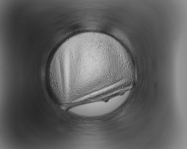 X0000088460483200706191332