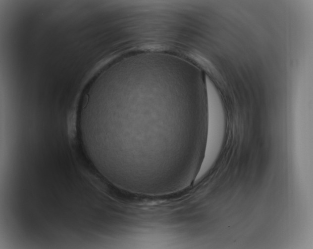 X0000088460484200706191332