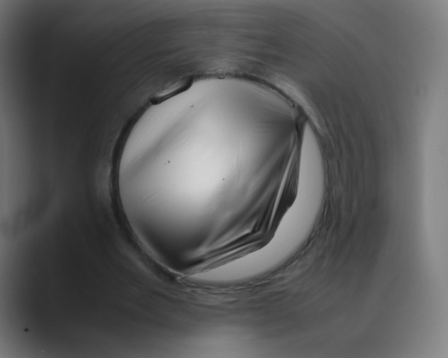 X0000088460485200706191332