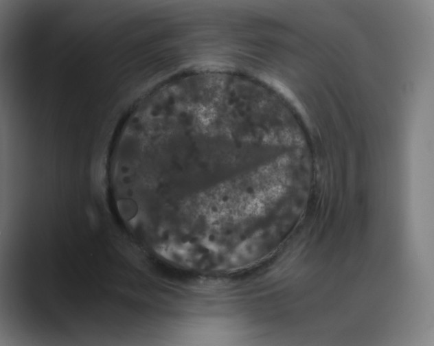X0000088460487200706191332