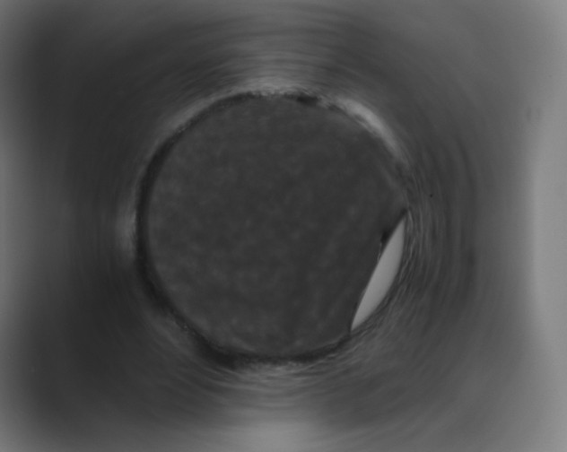 X0000088460488200706191332