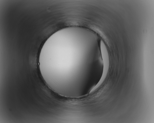 X0000088460489200706191332