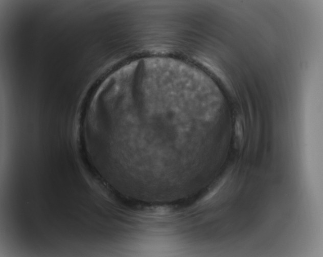 X0000088460492200706191332