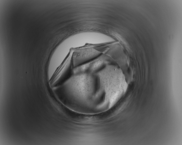 X0000088460493200706191332