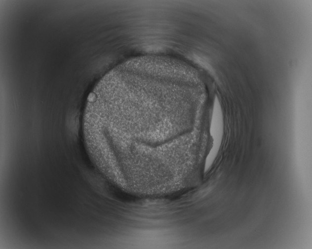 X0000088460495200706191332