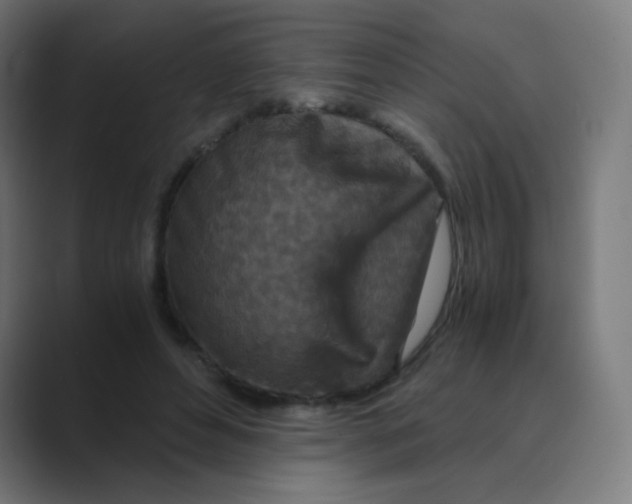 X0000088460496200706191332