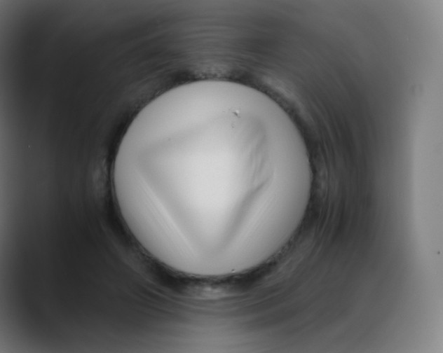 X0000088460498200706191331