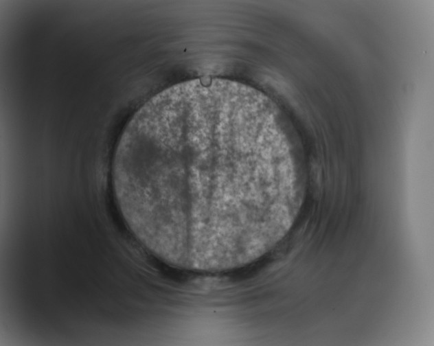 X0000088460499200706191331