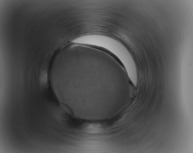 X0000088460500200706191331