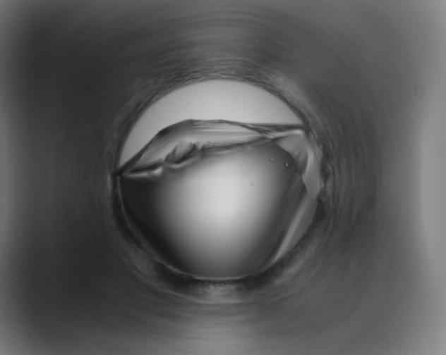 X0000088460501200706191331