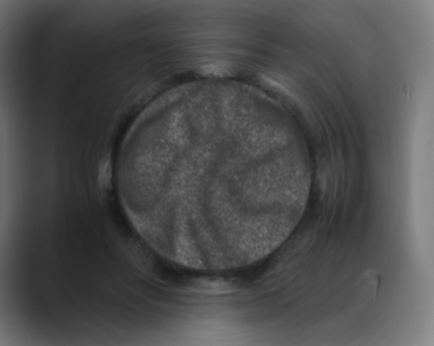 X0000088460502200706191331