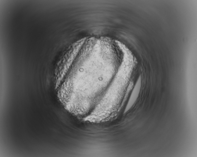 X0000088460503200706191331