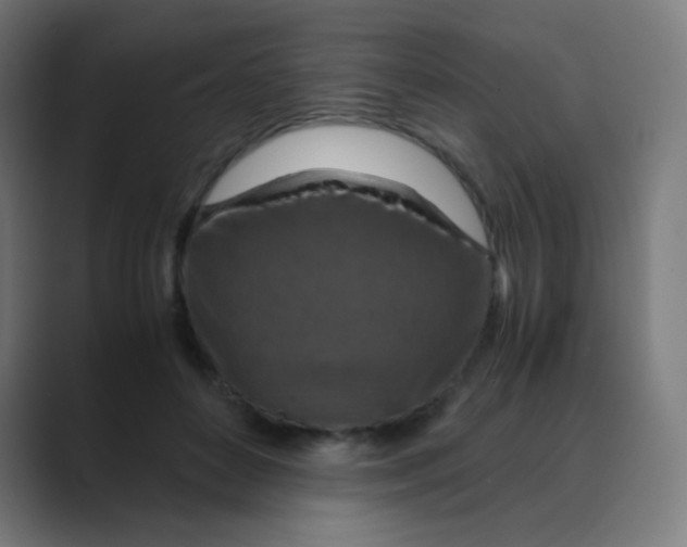 X0000088460504200706191331